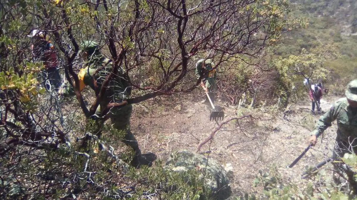 Combate a incendios