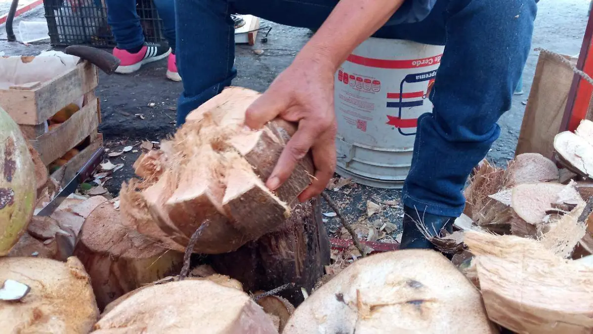 Agua de Coco (1)