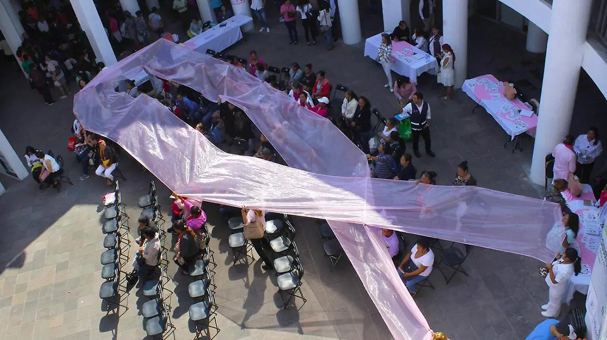 DIA ROSA DIF 5
