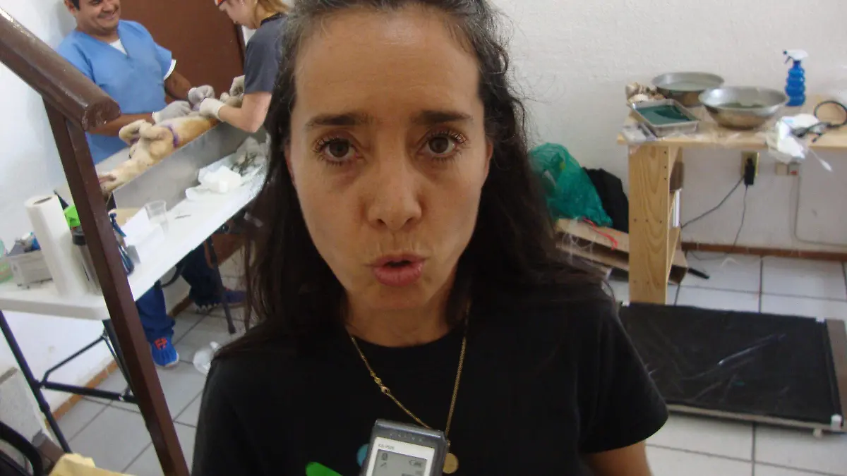 Georgina León Chimalpopoca