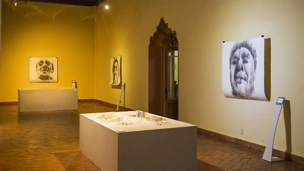 EXPOSICION LINEAS CRUZADAS UASL0271 (4)