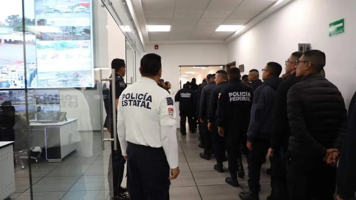 policía cibernetica  (2)