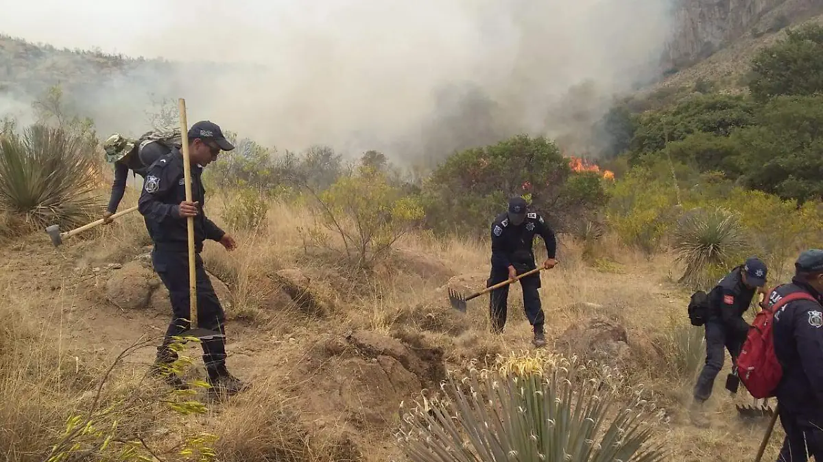 Incendio1