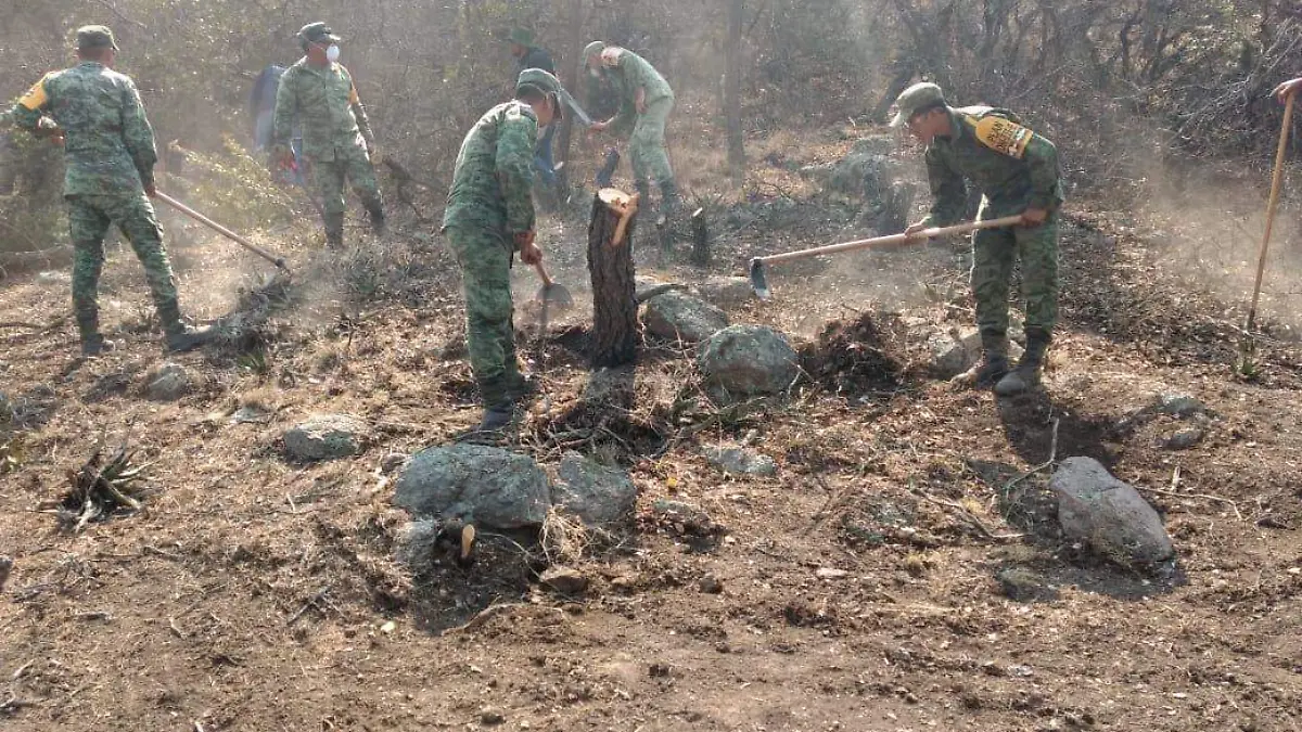 militares en incendios  (1)