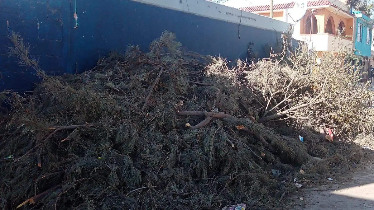 f8a0059c-754f-49a3-aeda-e07dfd5cc6fc