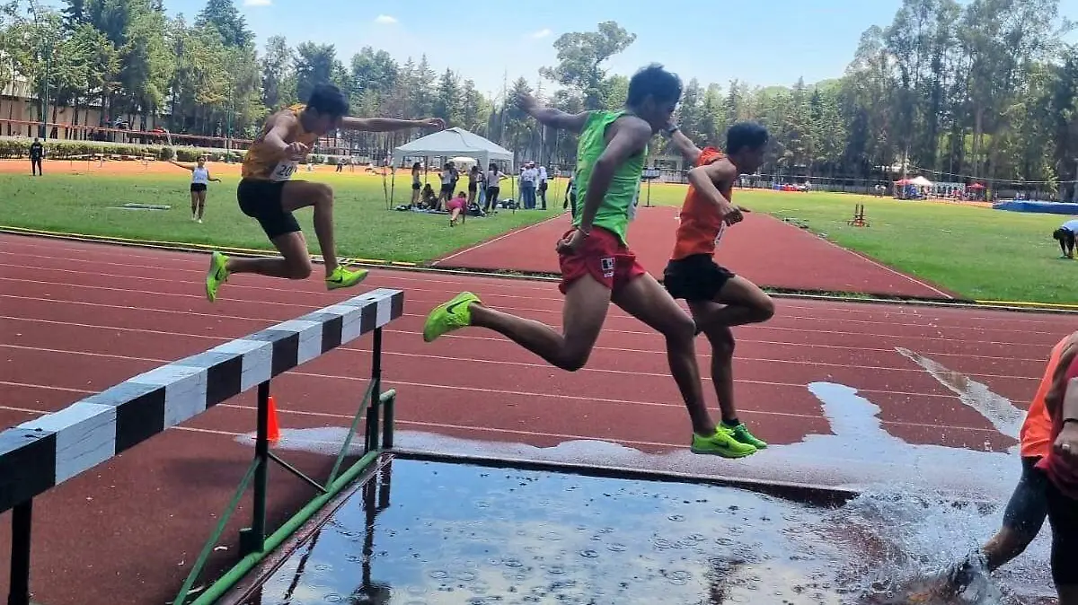 2837a45f-ad43-4b38-aa9b-620fdbfa7327