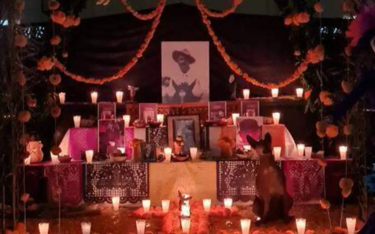 fe45f4d8-be61-4a49-9bf1-a435cc4ec4c0