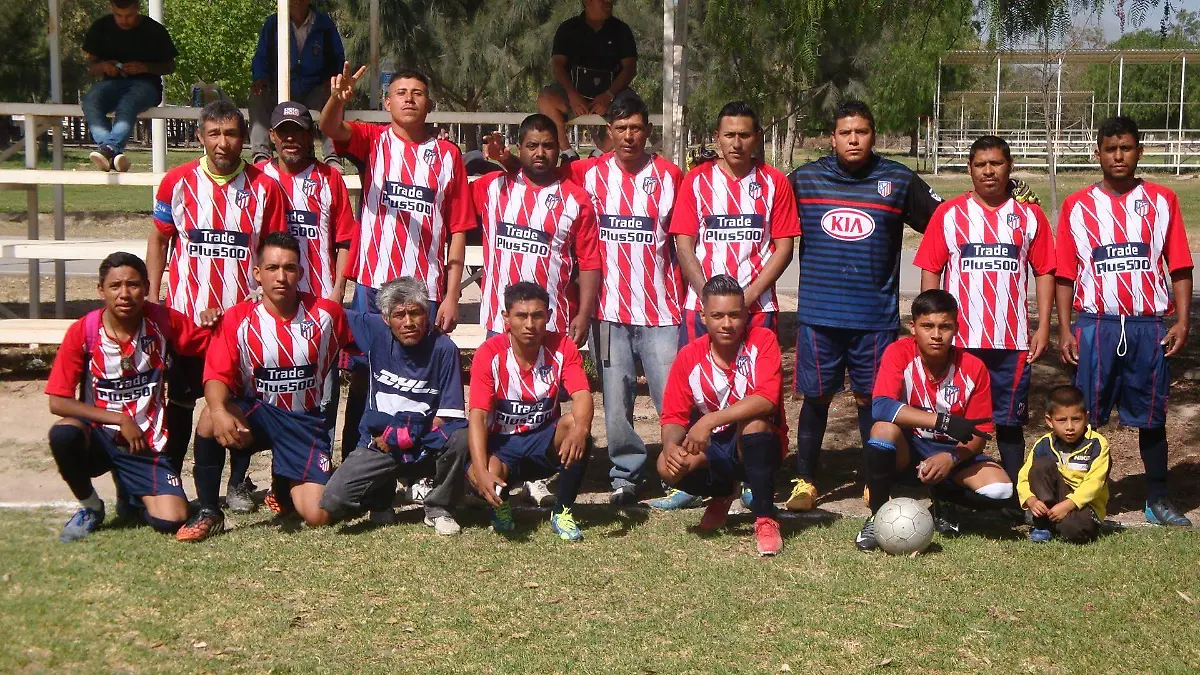 NJUEVOS 2 palmas