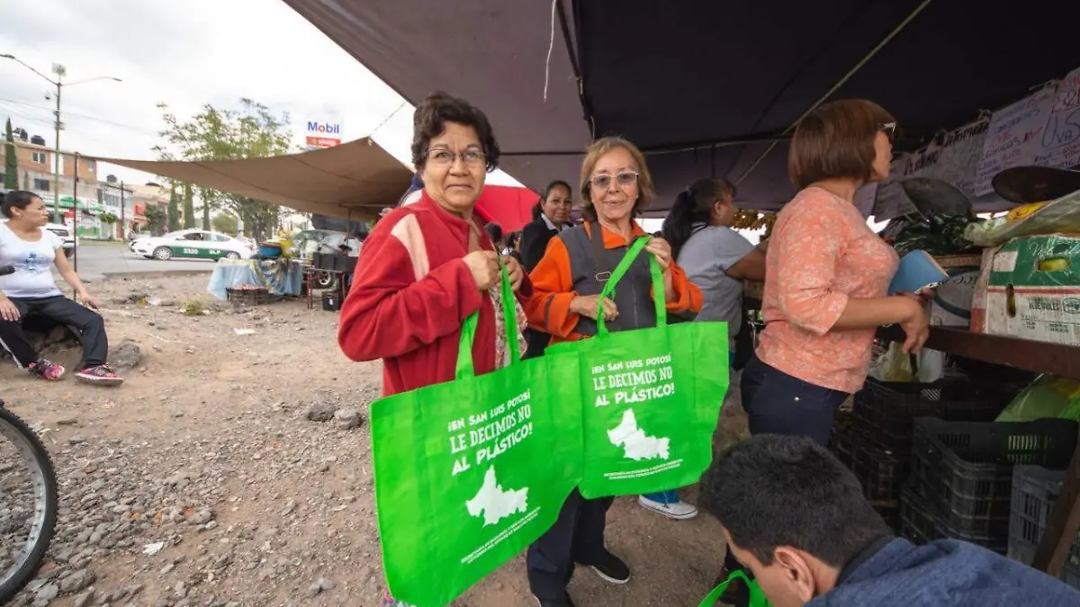 SEGAM Bolsas 291019 (3)