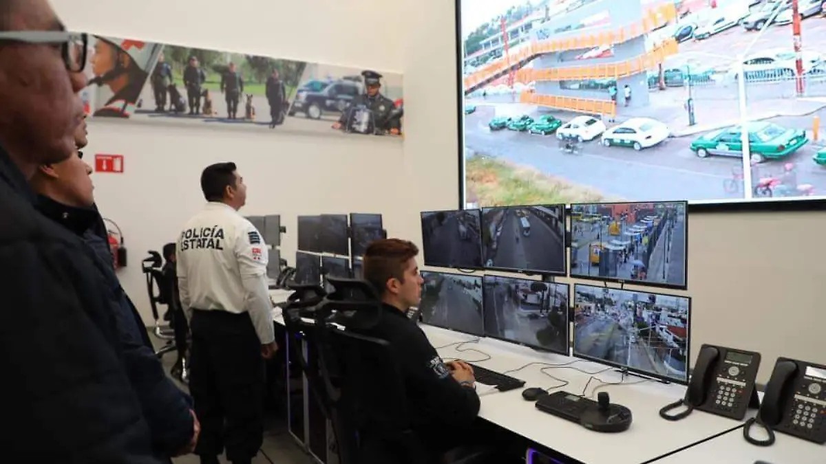 policía cibernetica  (1)