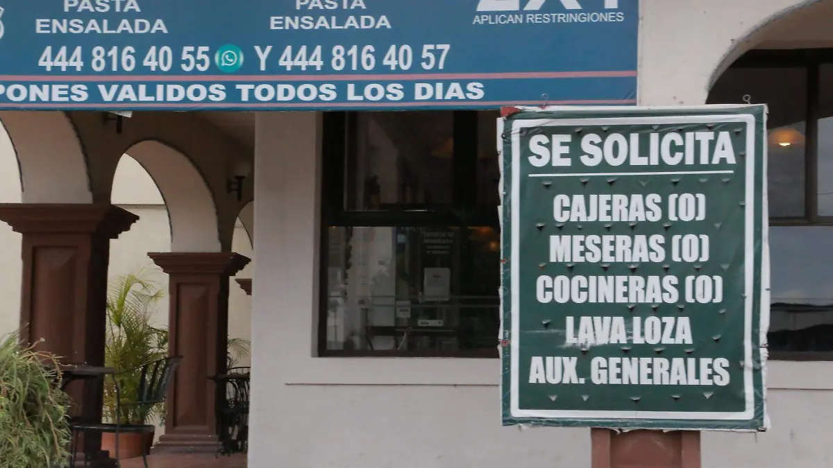bolsa de trabajo modelo laboral (13)