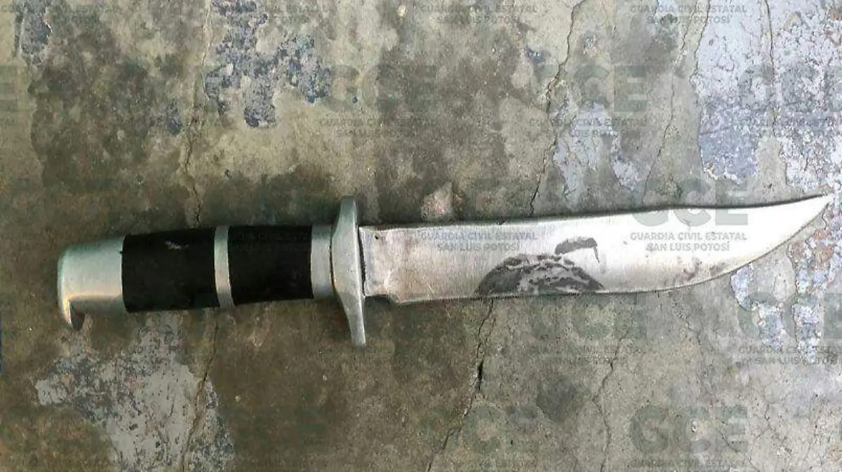 ee42d447-4c17-47cb-96d4-cf6f2d5a63fd