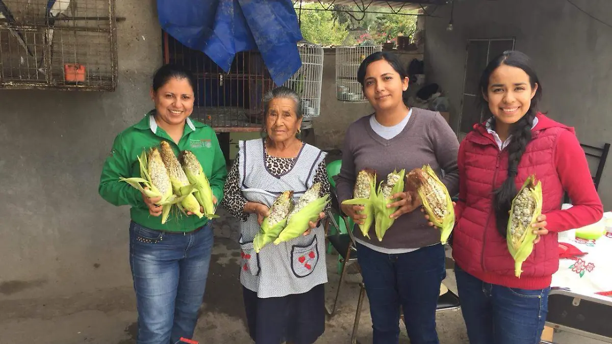 Sobreproducción de huitlacoche