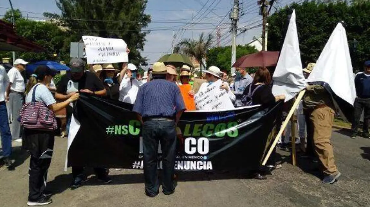 Marcha antiamlo SLP (2)