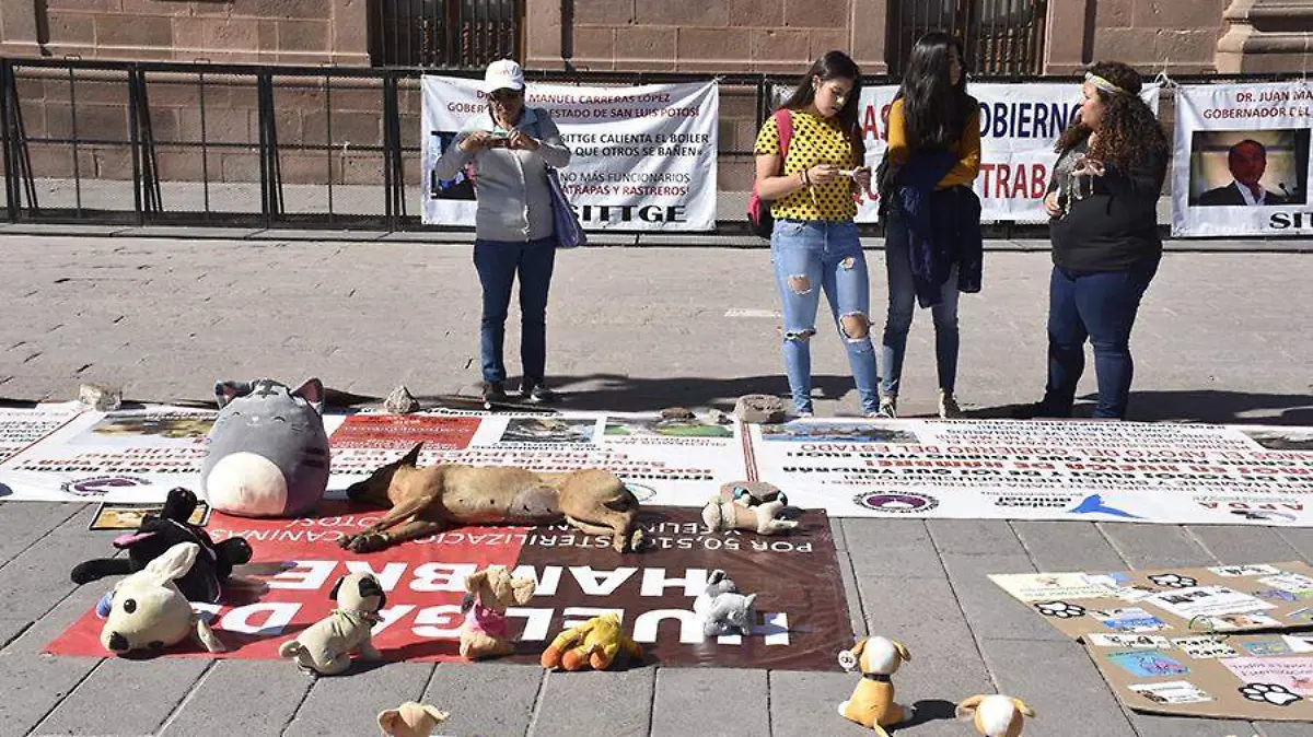 huelga hambre animales  (1)