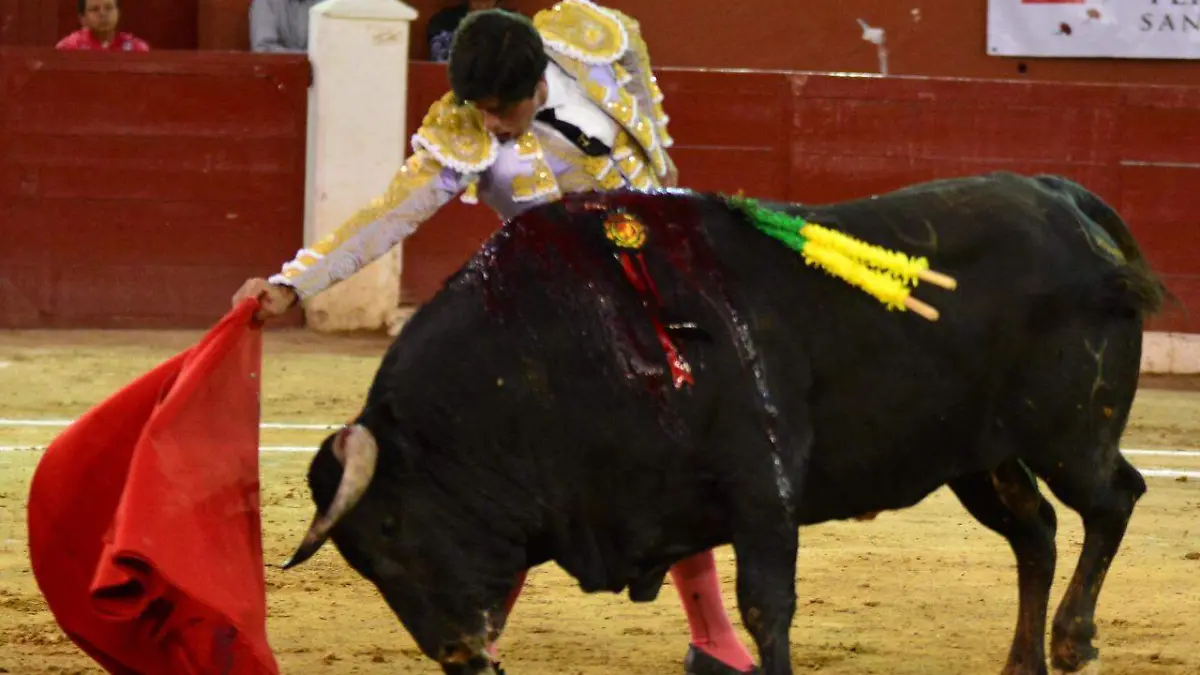 toros