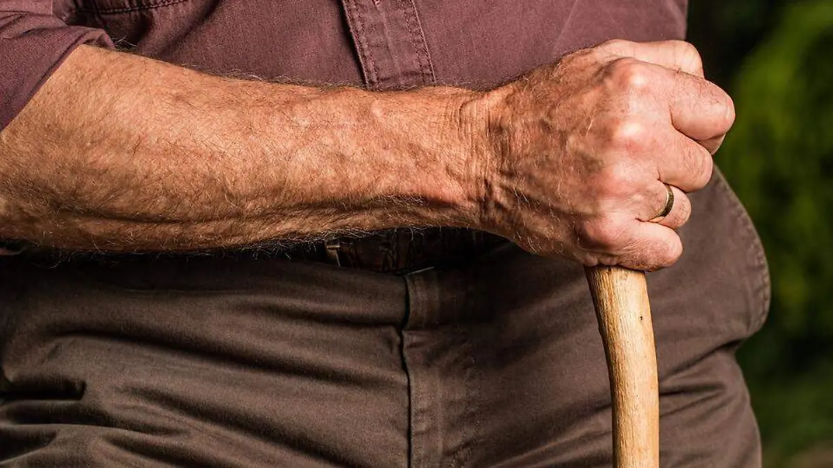 Brazo