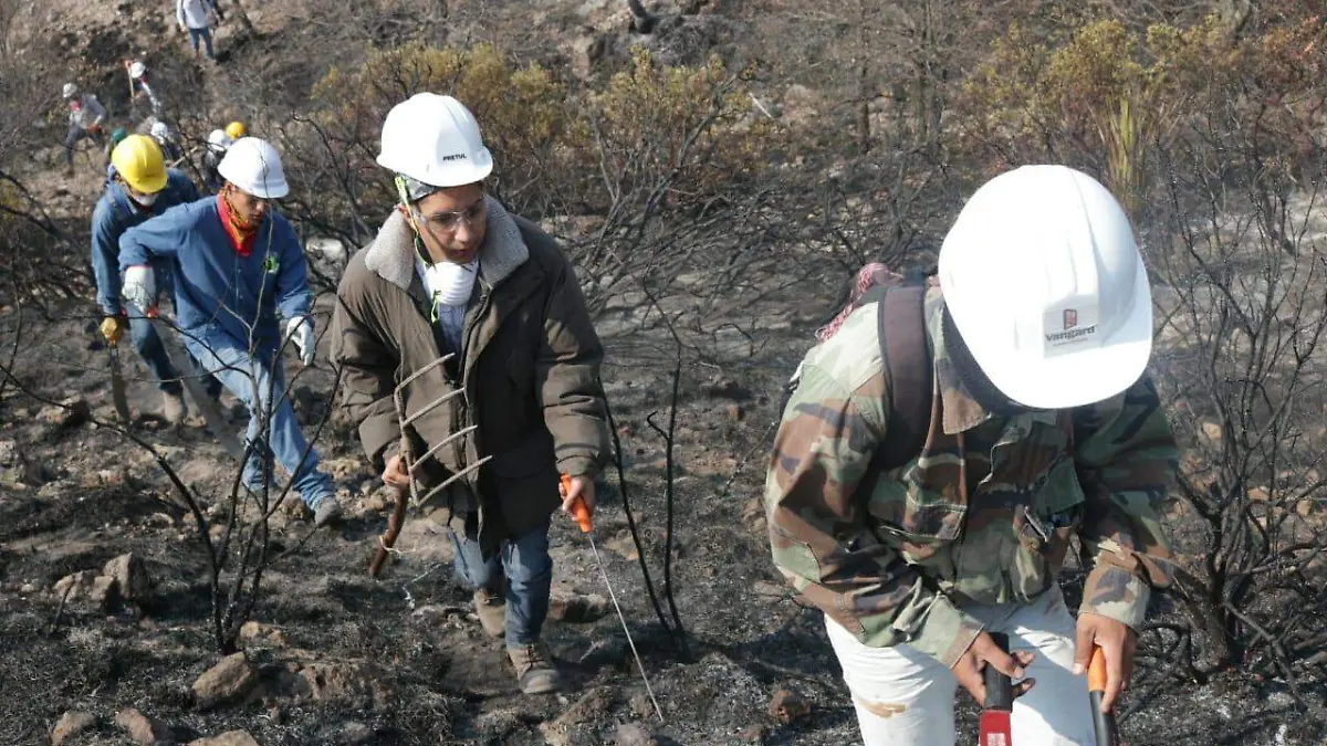 Incendio San Miguelito LM (7)