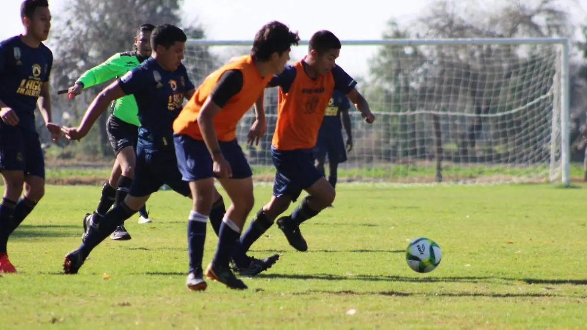 9ed6cdc3-cef5-4bc4-82aa-568b845d27e1