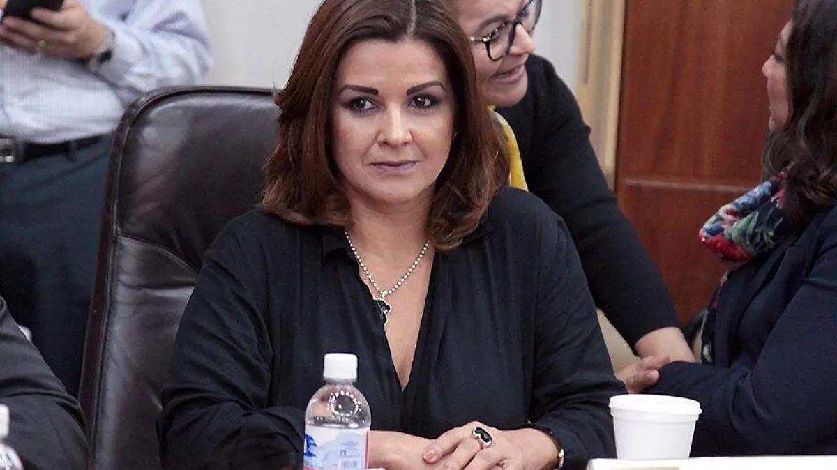 dip-beatriz-eugenia-benavente-rodrc3adguez