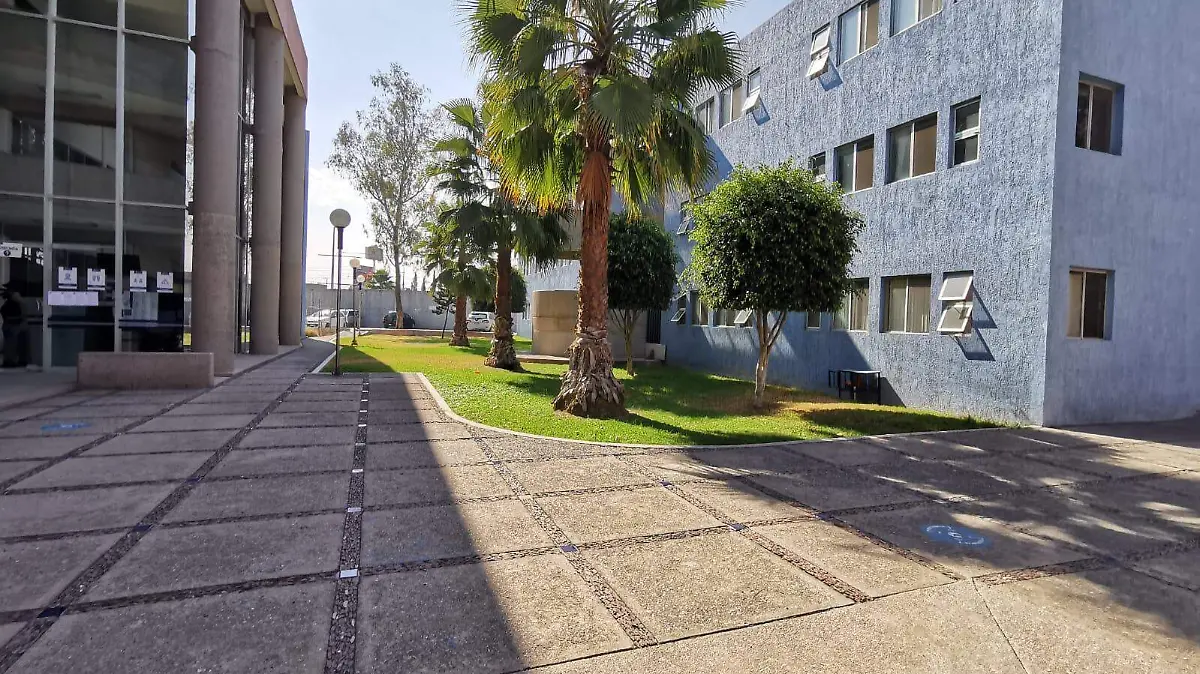 d2da31fb-9400-4523-bfc5-fcf00f038714