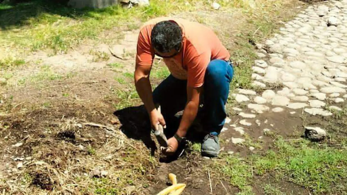 d92df670-a0aa-48f6-9177-6db41988942a