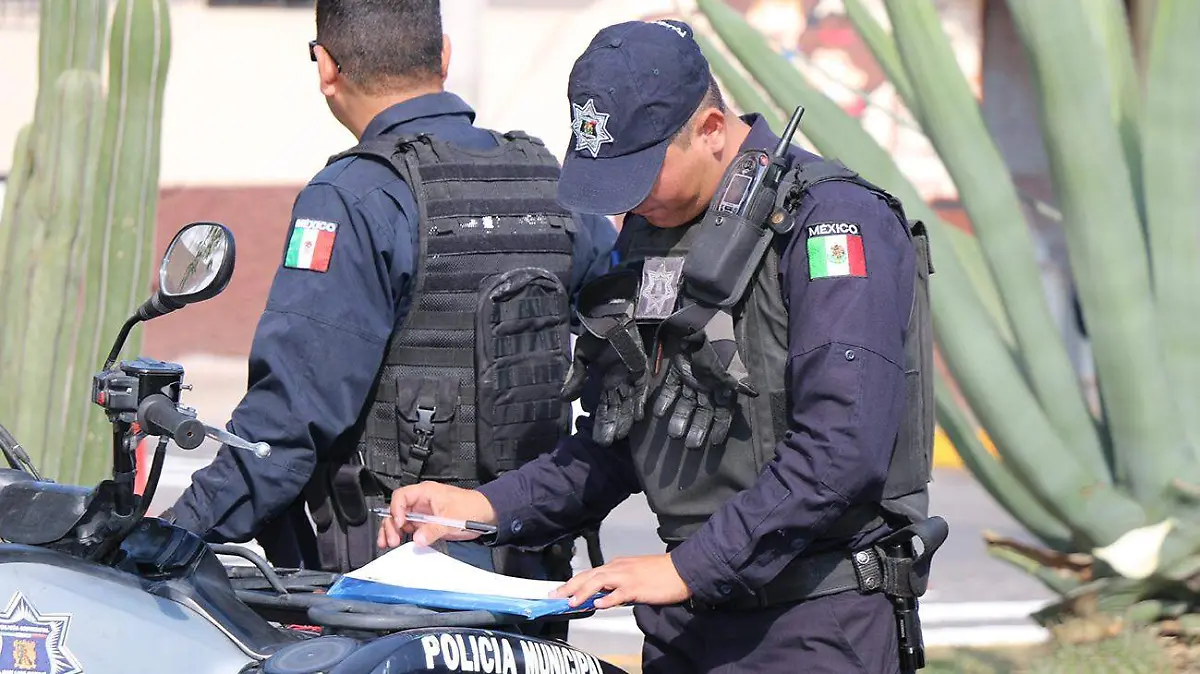 POLICIA VIAL 1