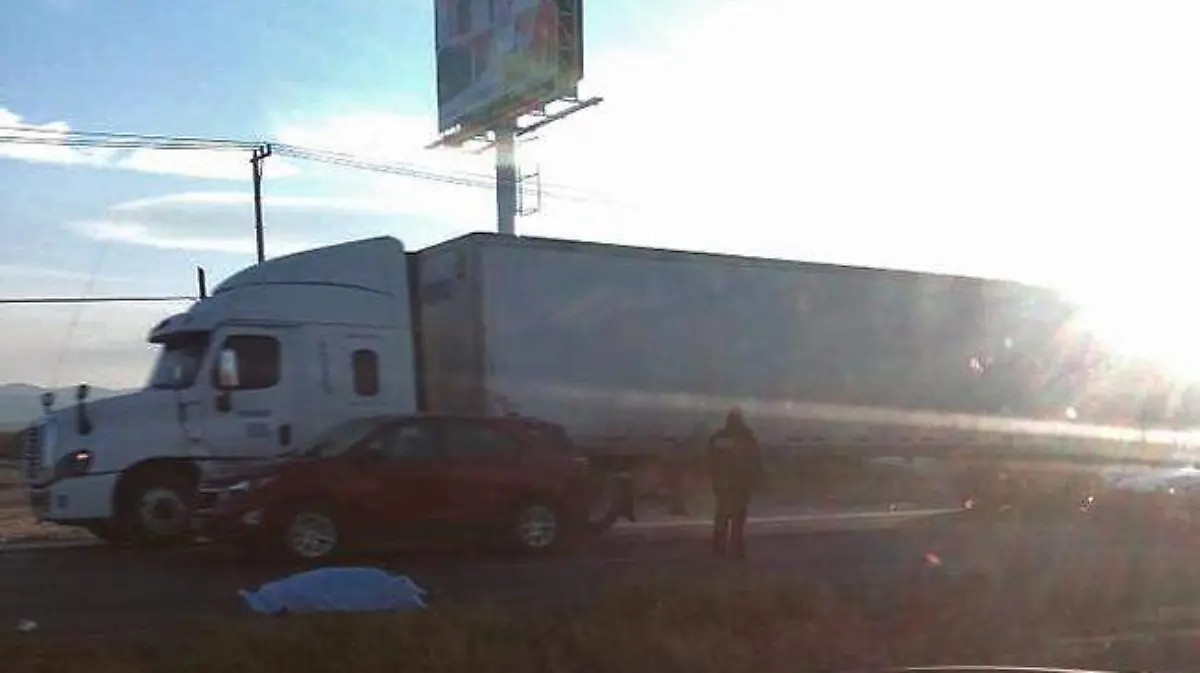 muerto carretera