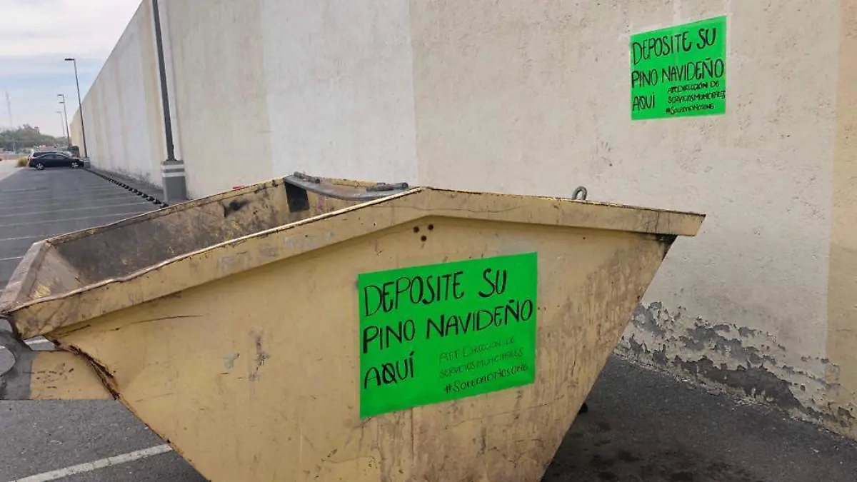 WhatsApp Image 2021-01-13 at 1.19.22 PM