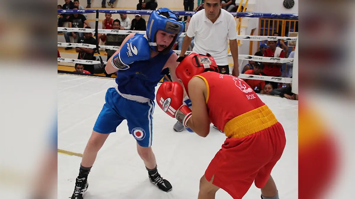 box-olimpiada-municipal
