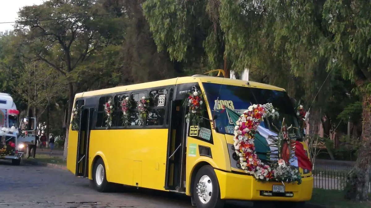 80137aef-8f8d-46b0-bfb6-3e7c8b0ae598