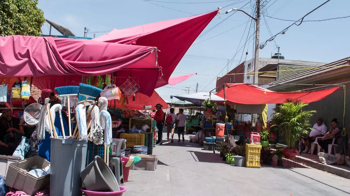 Tianguies_ACO-01