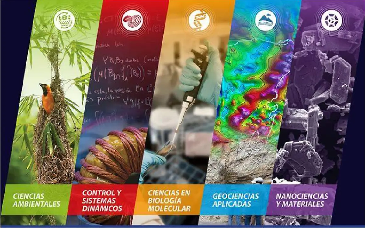 flyer verano 2019