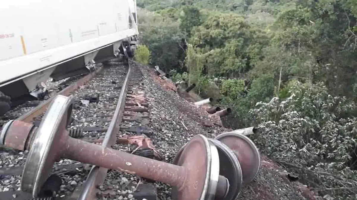 tren en Tamasopo  (1)