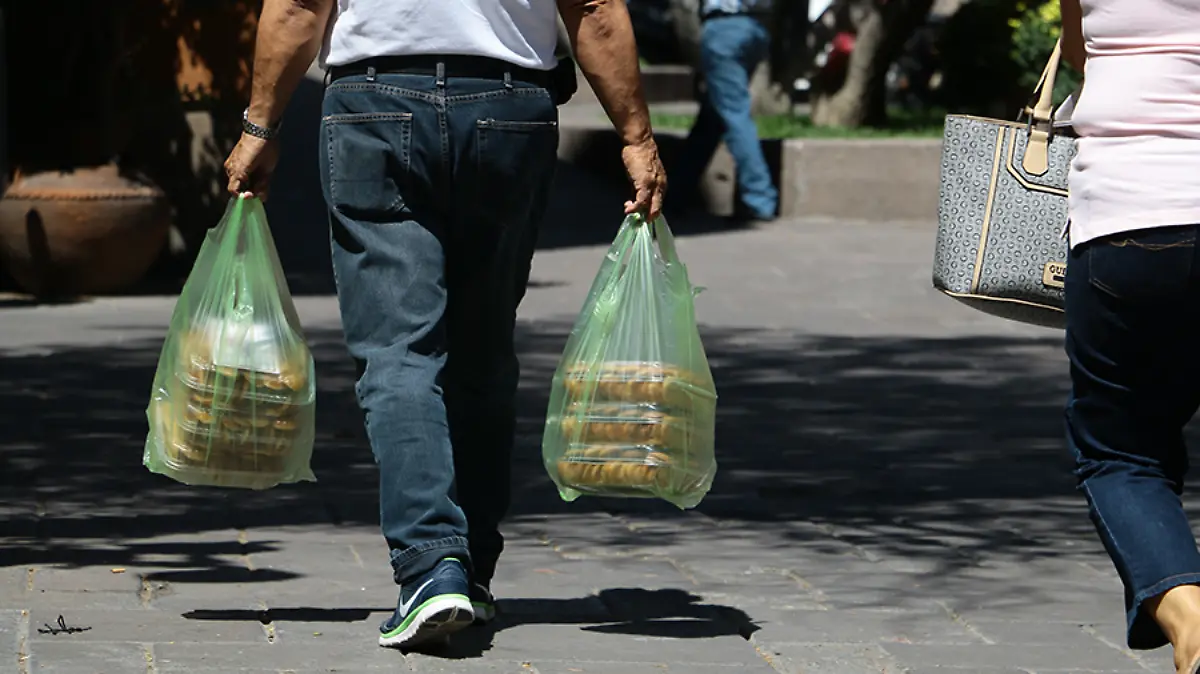 Bolsas-de-Plastico-RD