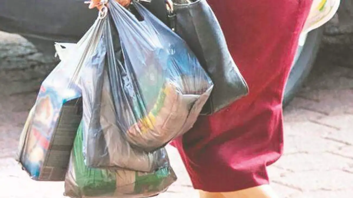 bolsas de plastico