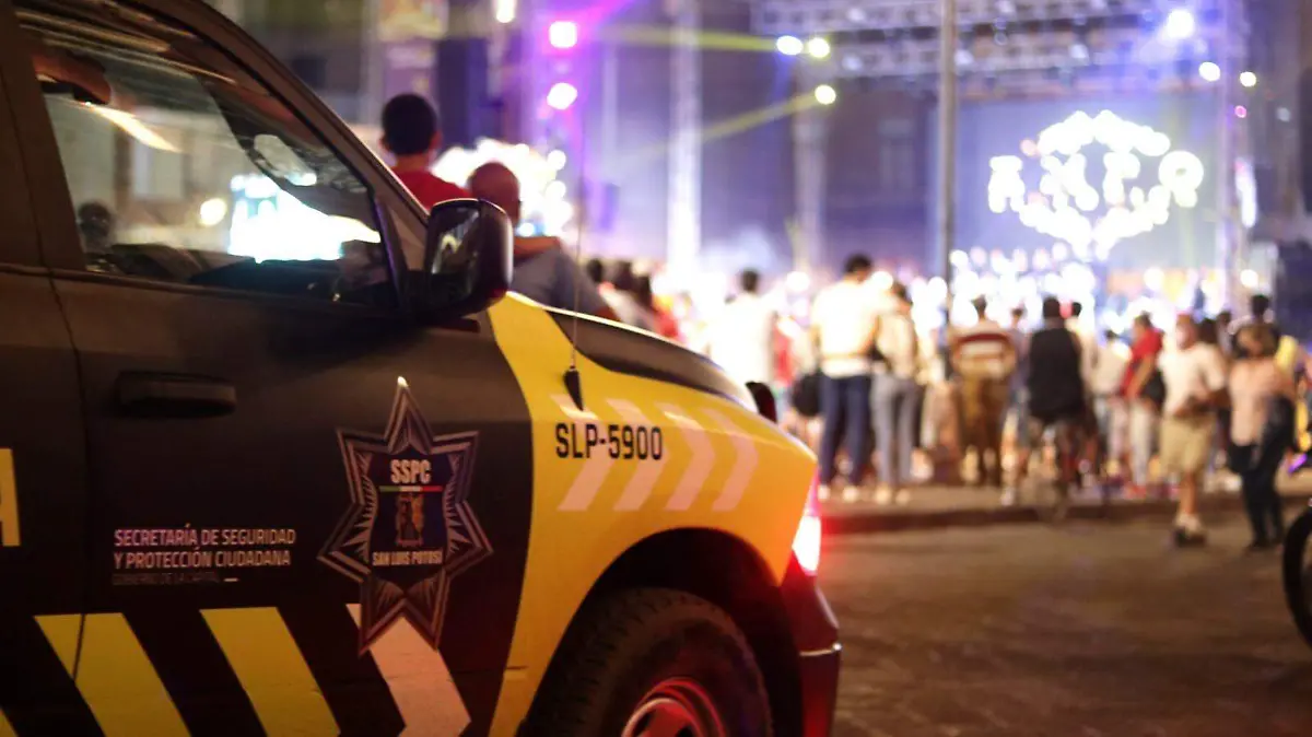 policia seguridad  (2)