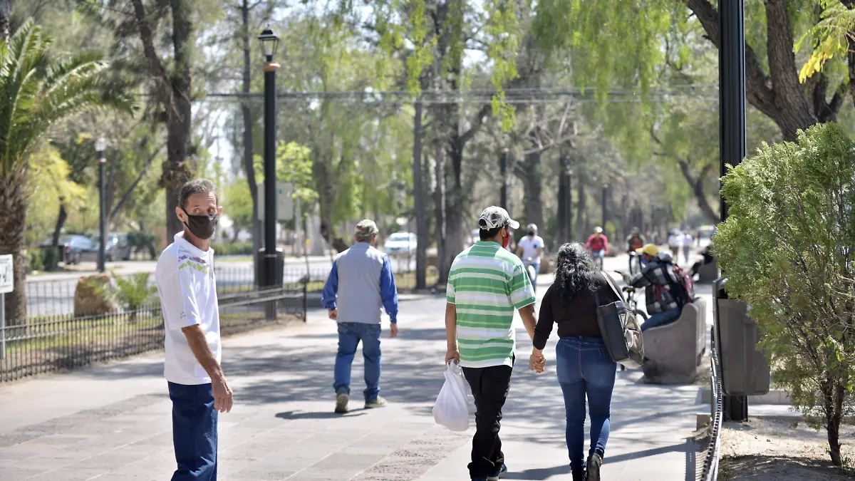 Calzada de Guadalupe 