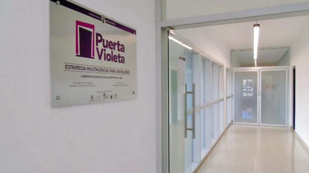 PUERTA VIOLETA 2