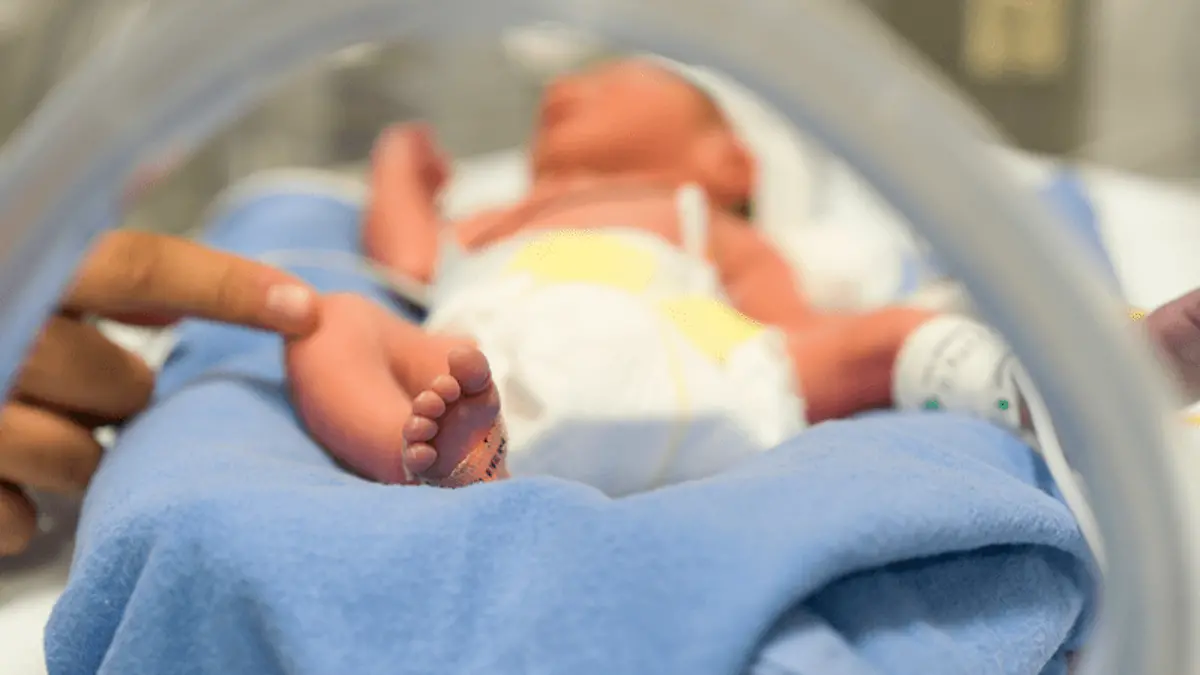 bebés prematuros