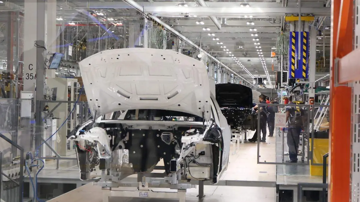 Planta BMW 240919 (3)