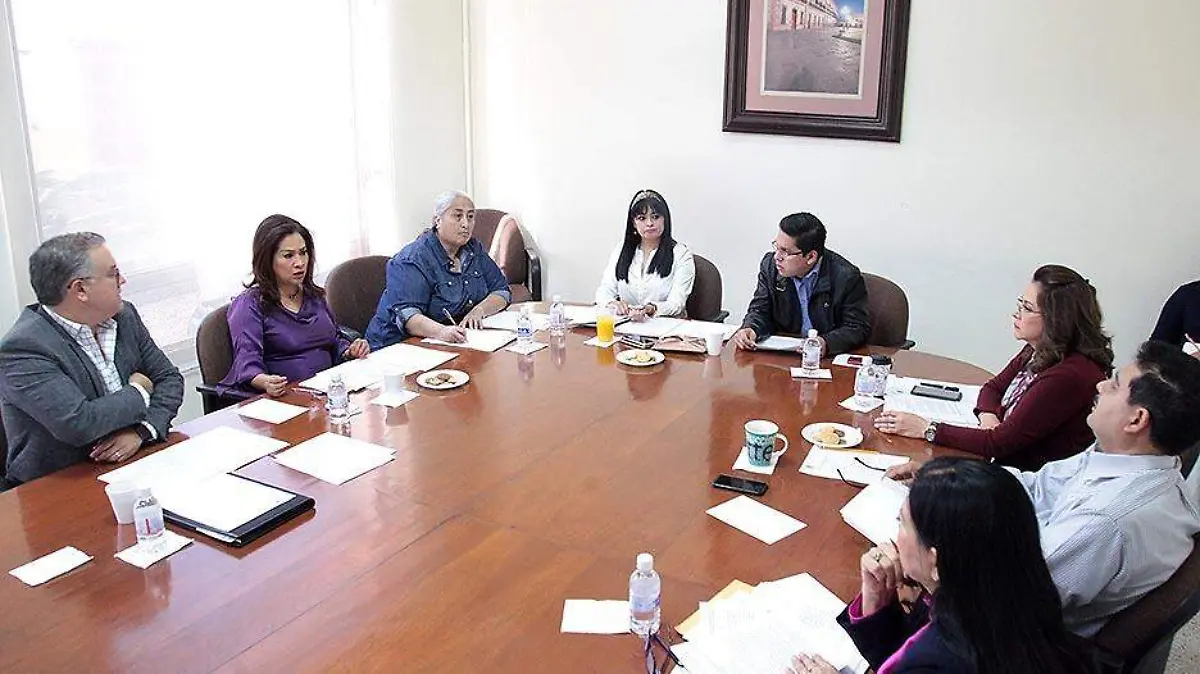 Comision Puntos Constitucionales