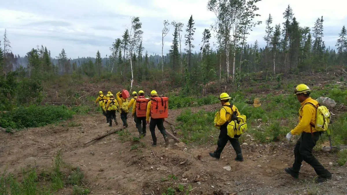 Conafor Incendio canadá