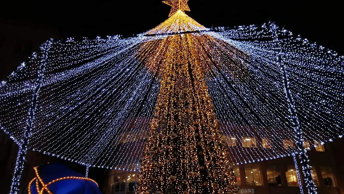 Festival Navideño (5)