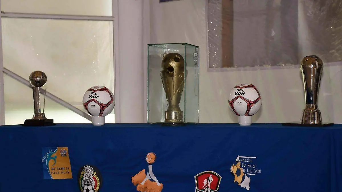 Liguilla de la LT