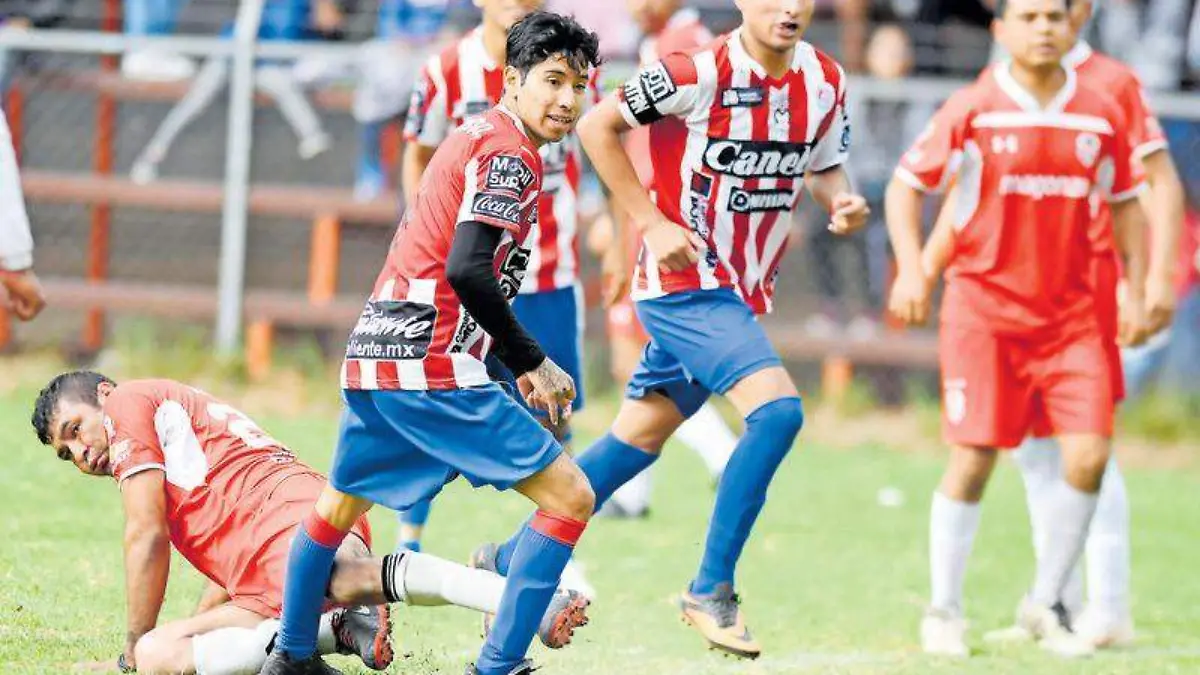 liga tangamanga