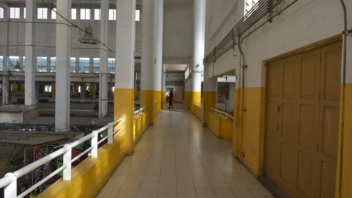 Mercado Hidalgo  5