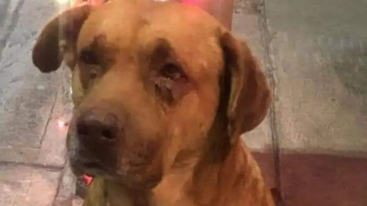 4bf43cc1-d3e2-4871-bb5f-0fefecd23e9b