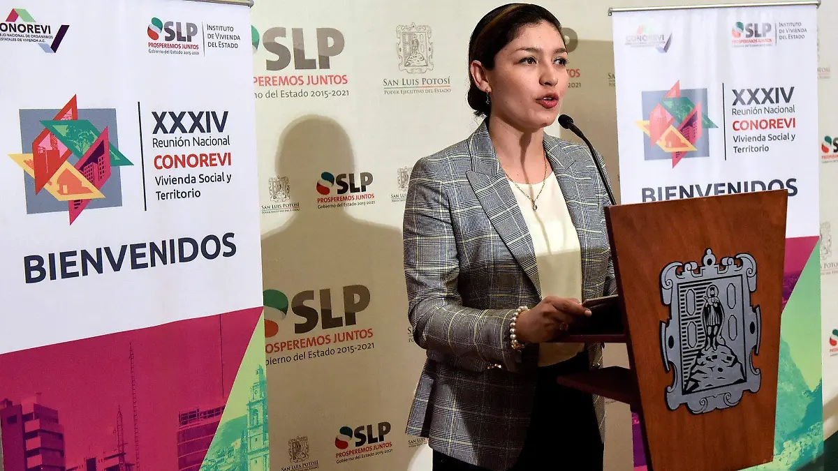 INVIES Rueda de Prensa CONOREVI 270319 (2)