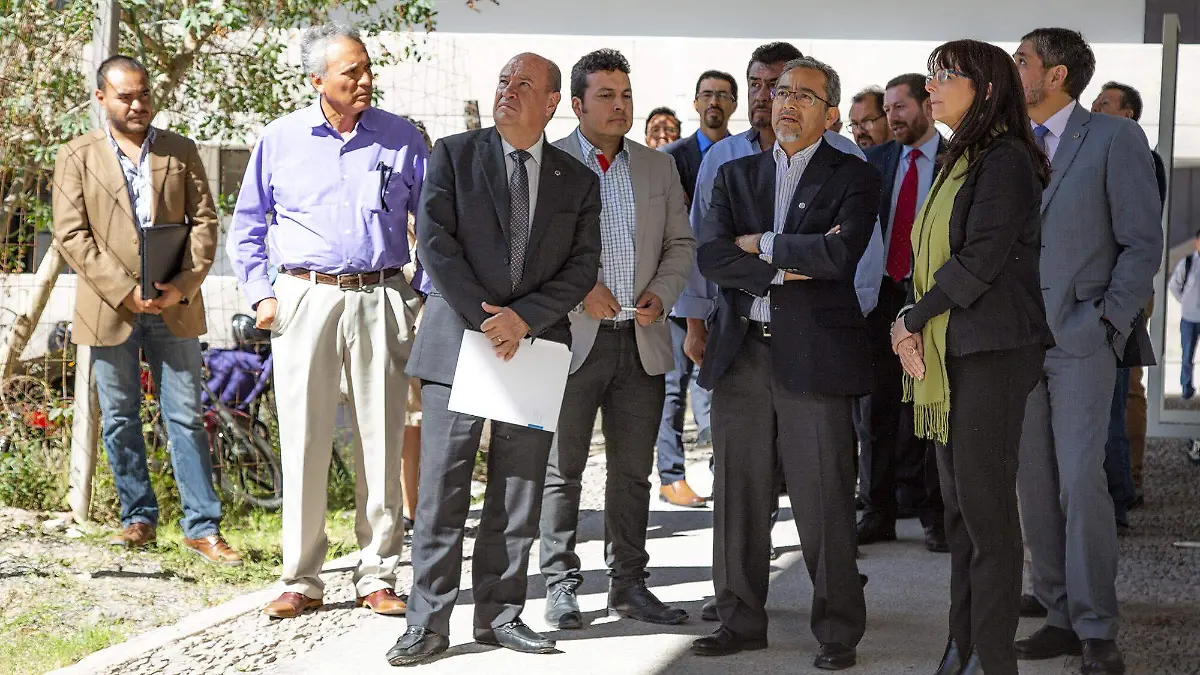 UASLP-CONACYT Mariěa Elena Aělvarez-Buylla Roces FAC CIENCIAS 00 UASL8871 (2)